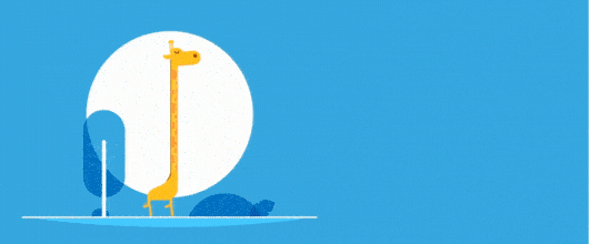 کنسرت های کیش و وقایع کیش