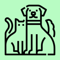 دامپزشکی کیش