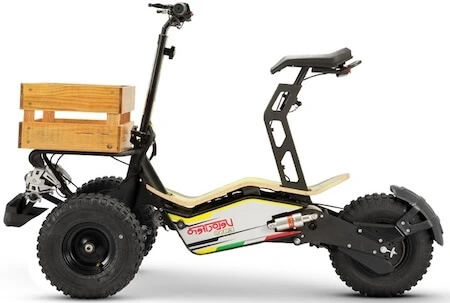 اجاره موتور Mad Truck در کیش