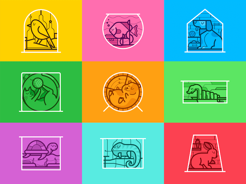 دامپزشکی و پت شاپ کیش