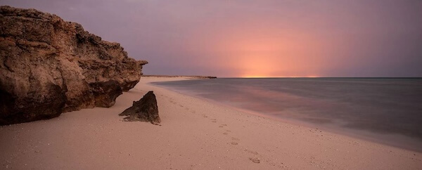 تور هندورابی